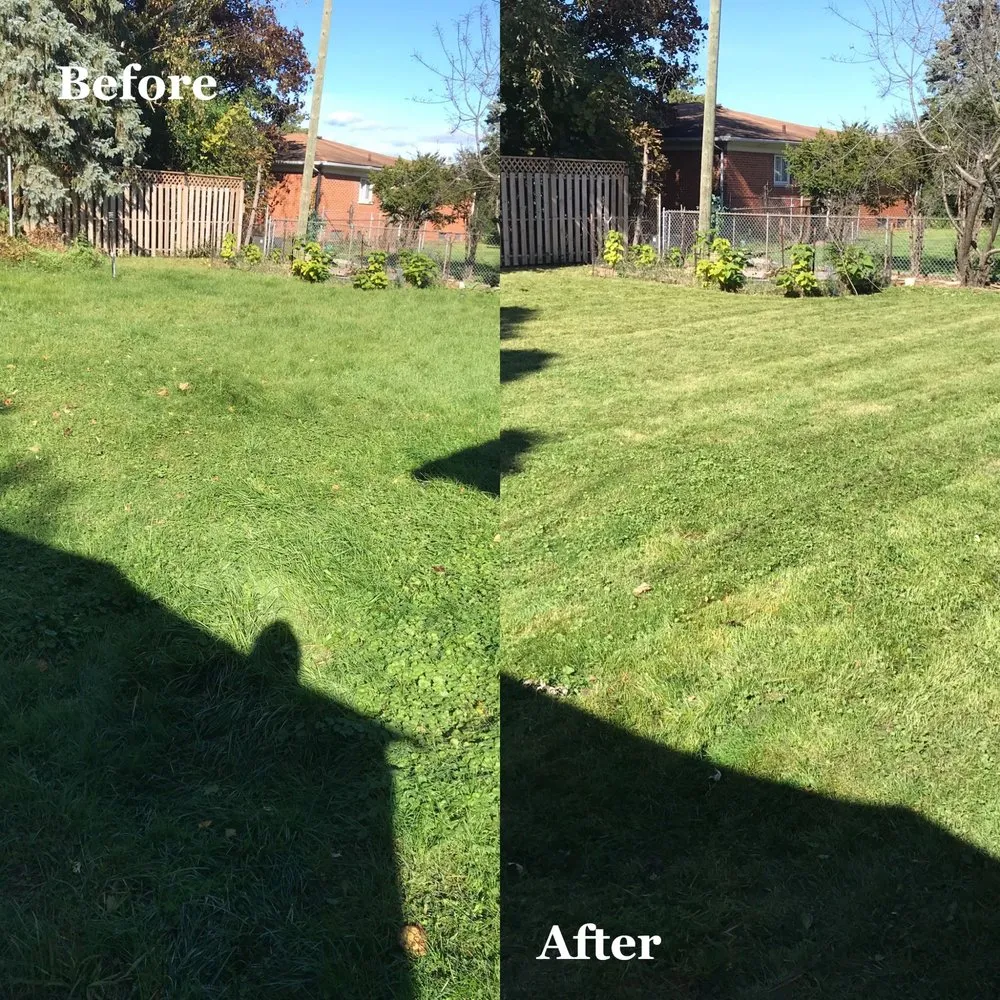Professional yard maintenance in Detroit, MI - Carlisle Family Landscaping