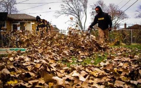 Custom landscaping services for outdoor upgrades in Detroit, MI by Carlisle Family Landscaping