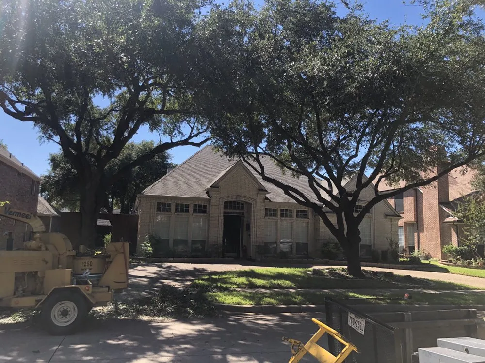 Trusted landscaping services for outdoor upgrades across Carrollton, TX - Carlitos Tree And Land Service