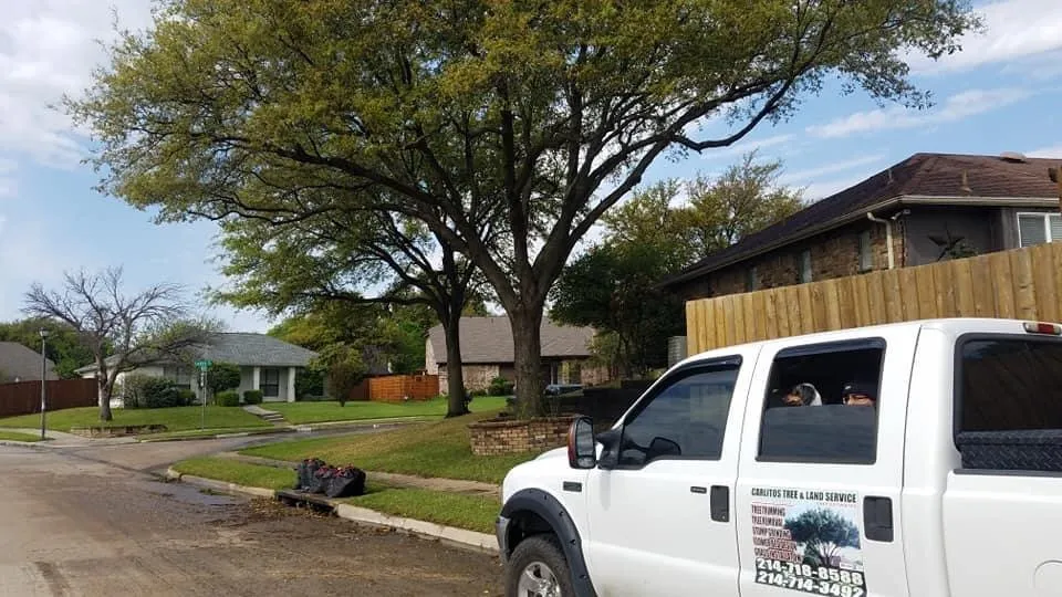 Trusted lawn care service for residential properties across Carrollton, TX - Carlitos Tree And Land Service