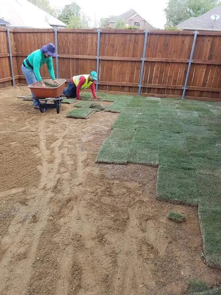 Affordable landscape design for residential properties across Carrollton, TX - Carlitos Tree And Land Service