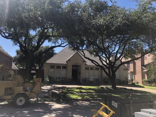 Carlitos Tree And Land Service Logo