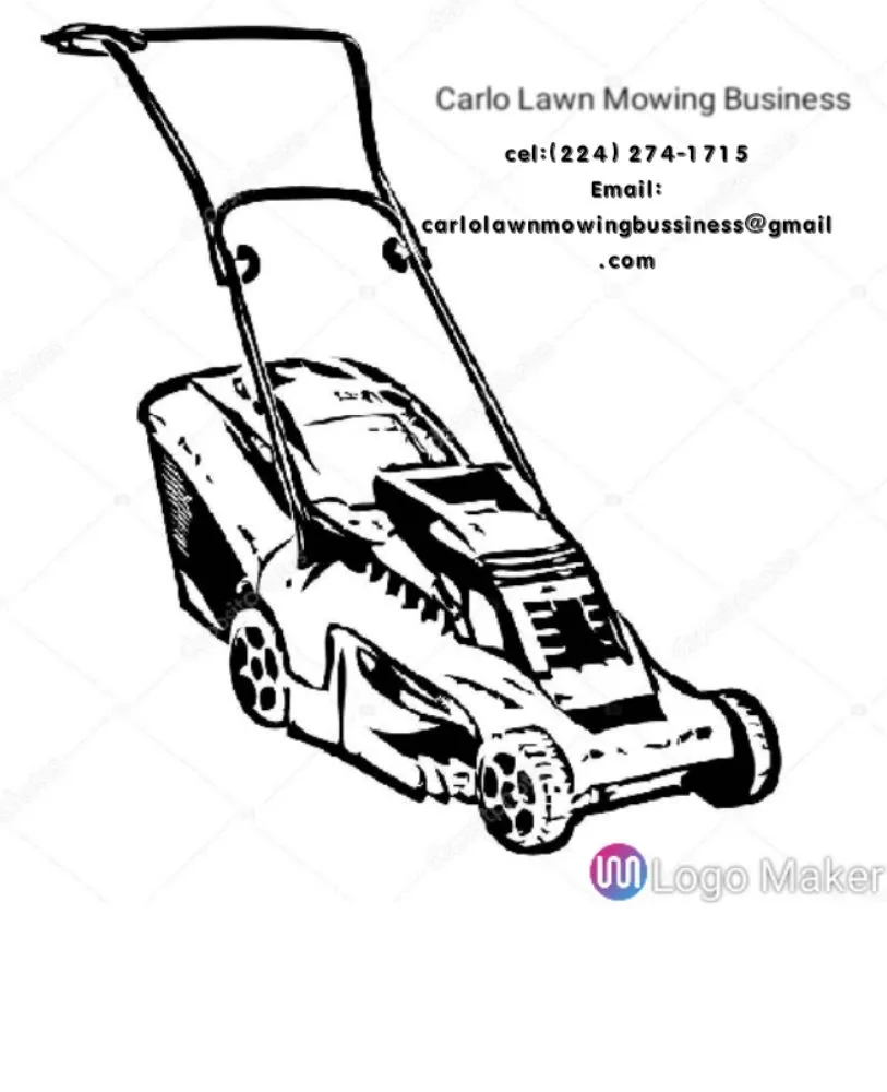 Custom landscaping services in Morton Grove, IL by Carlo Lawn Mowing Business