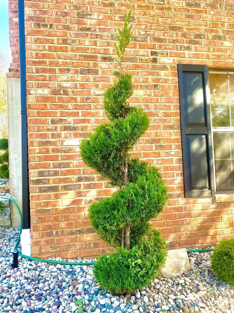 Custom landscape installation for residential properties across St. Peters, MO - Carlon Landscapes