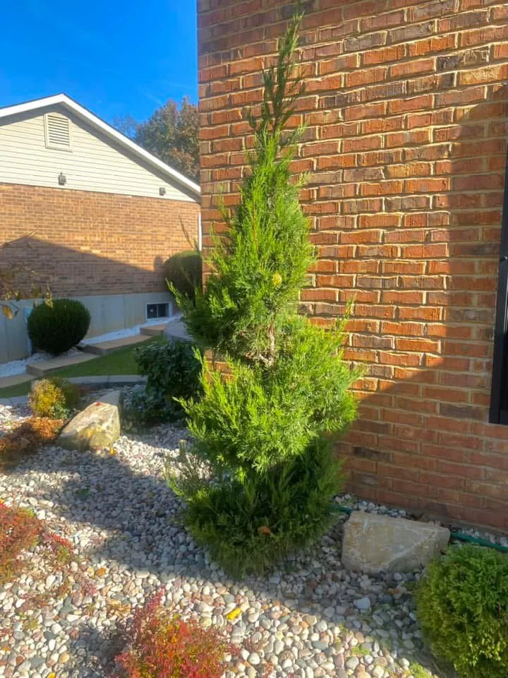 Local lawn mowing service near you in St. Peters, MO by Carlon Landscapes