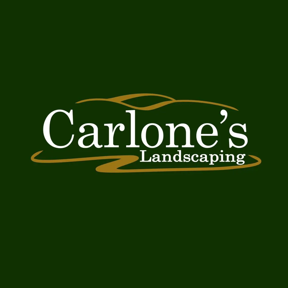 Expert yard maintenance near you in Berlin, CT by Carlone's Landscaping