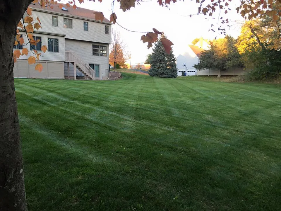 Professional outdoor landscaping near you in Berlin, CT by Carlone's Landscaping