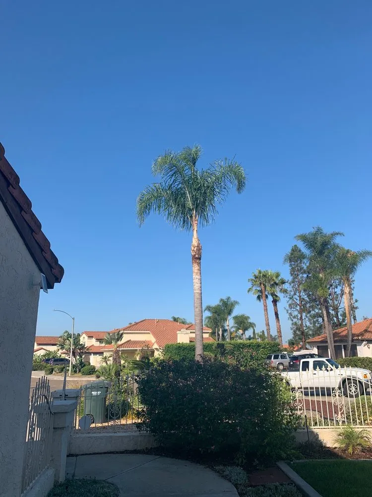 Reliable residential landscaping experts serving Chula Vista, CA - Carlos & Mor