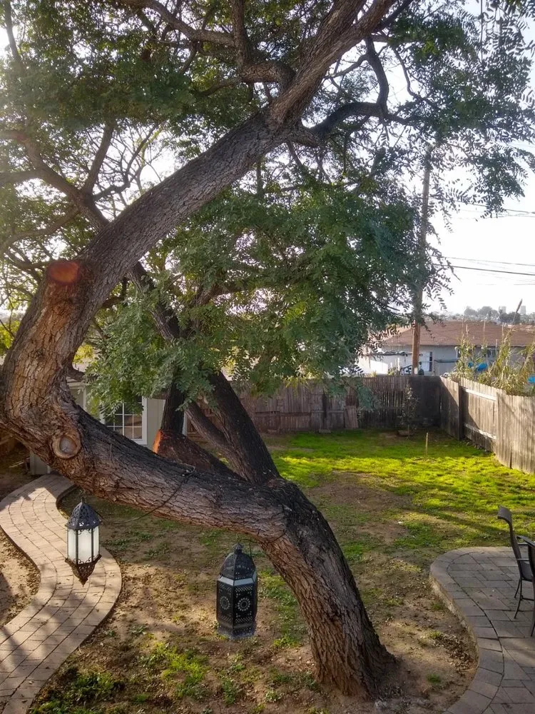 Trusted garden landscaping in Chula Vista, CA by Carlos & Mor