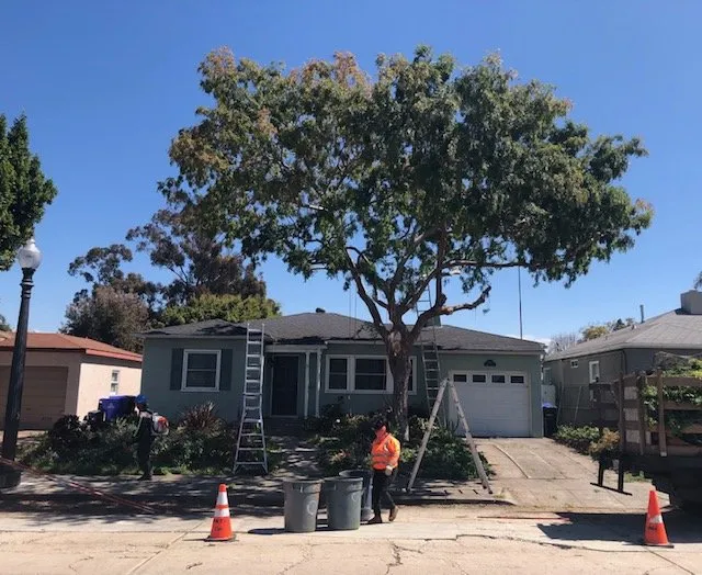 Custom outdoor landscaping with custom design across Chula Vista, CA - Carlos & Mor