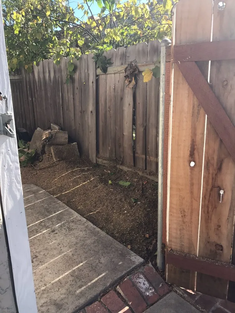 Professional landscaping services near you across Chula Vista, CA - Carlos & Mor