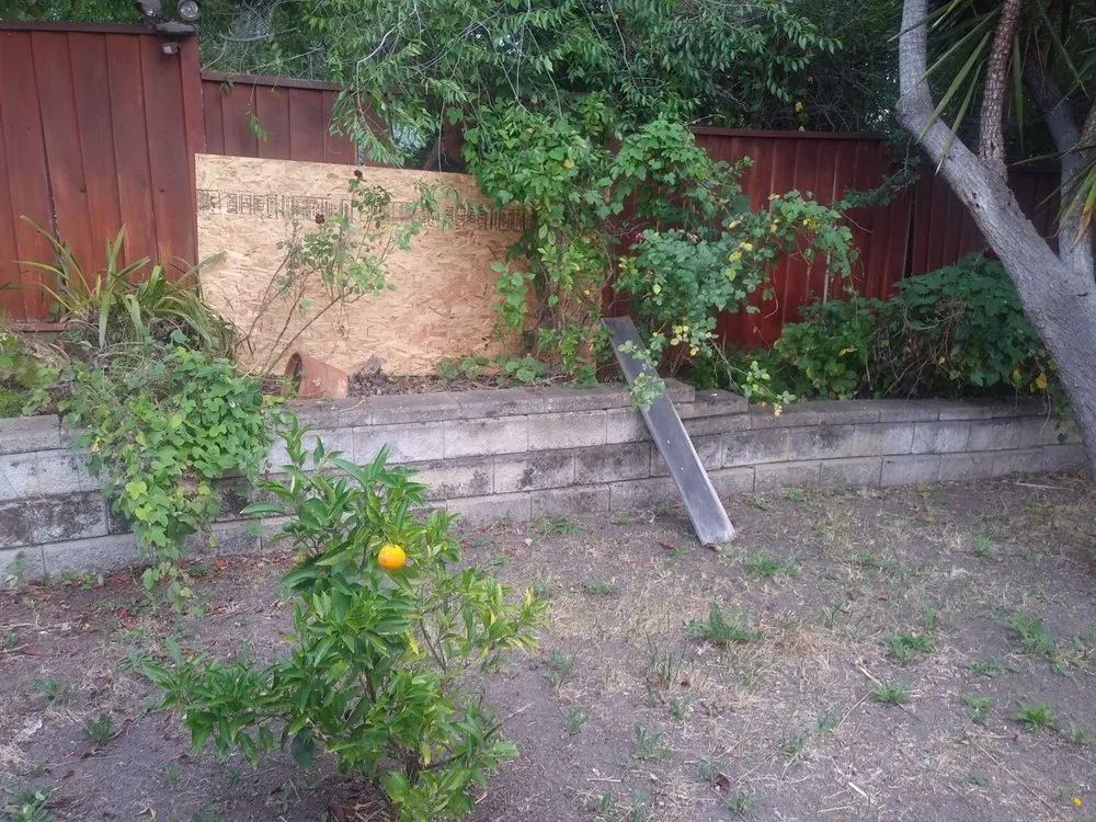 Expert residential landscaping in San Jose, CA by Carlos A Landscaping