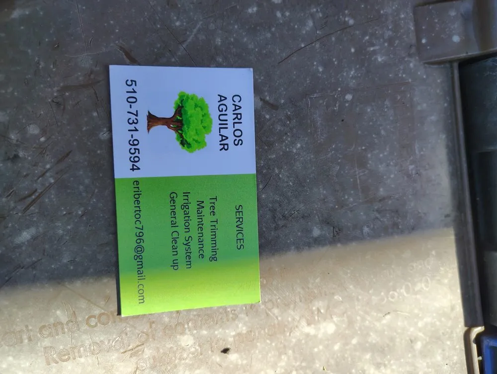 Expert landscaping services in Richmond, CA - Carlos Aguilar