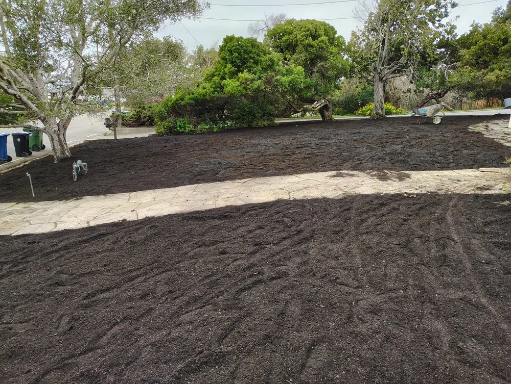 Affordable landscape design in Richmond, CA by Carlos Aguilar