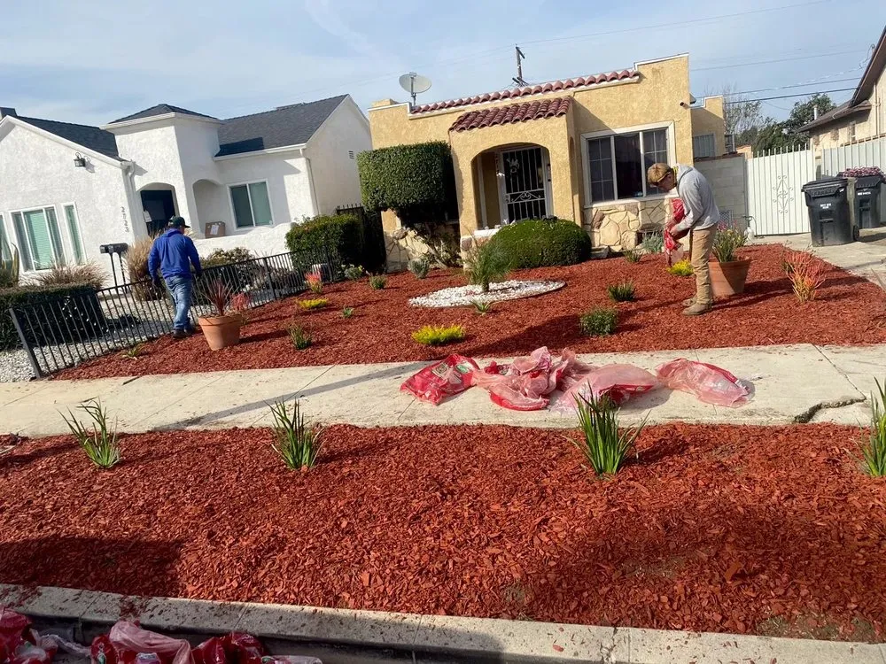 Reliable landscaping services in Los Angeles, CA - Carlos and Javier González Landscaping And Gardening