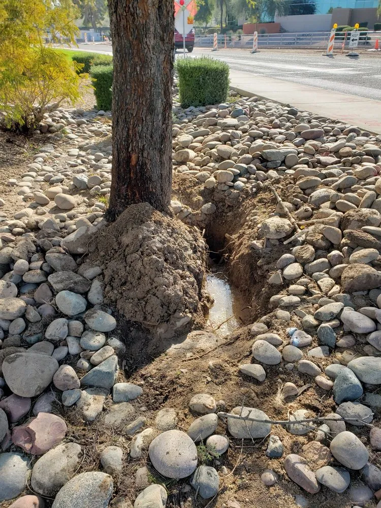 Top-rated outdoor landscaping for residential properties across El Mirage, AZ - Carlos and Son Irrigation and Sprinkler Repair