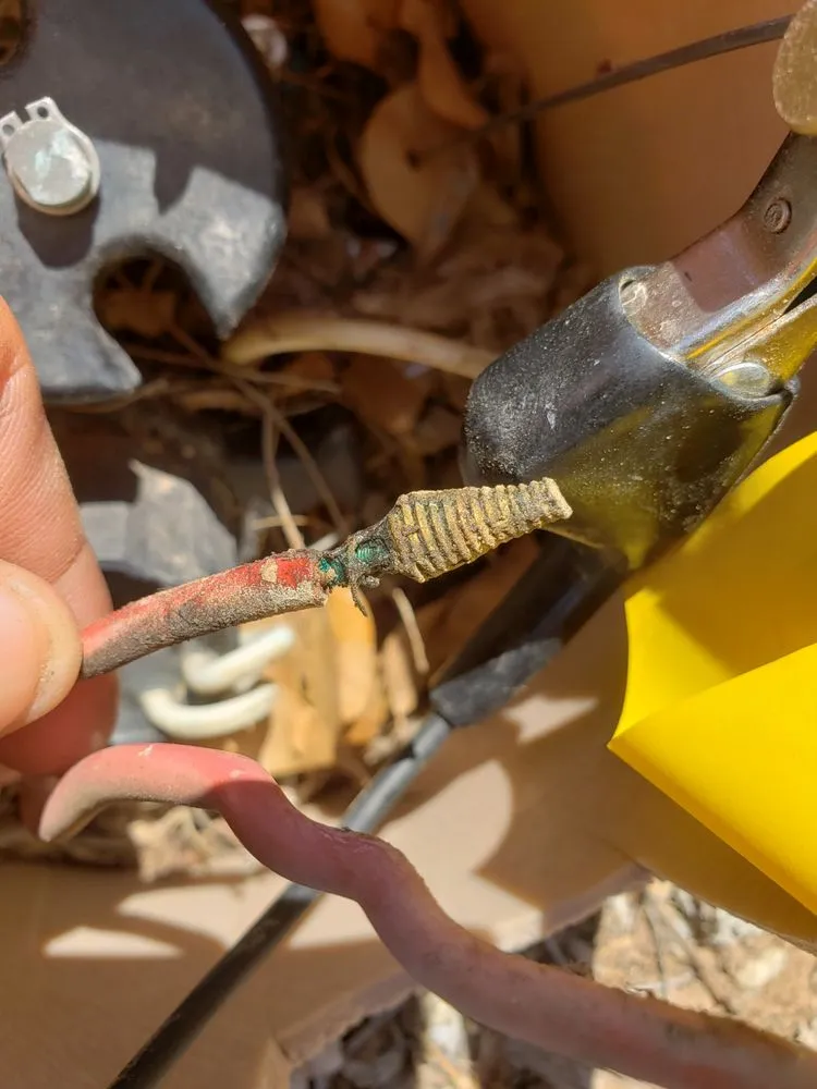 Reliable lawn care service in El Mirage, AZ by Carlos and Son Irrigation and Sprinkler Repair