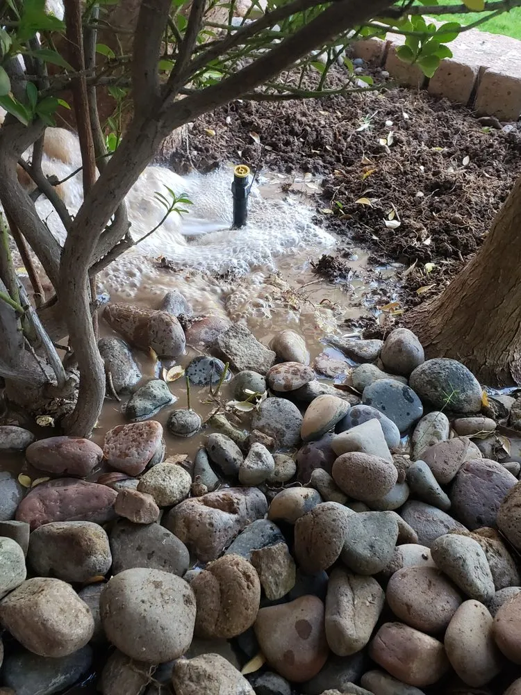 Professional landscape design experts serving El Mirage, AZ - Carlos and Son Irrigation and Sprinkler Repair