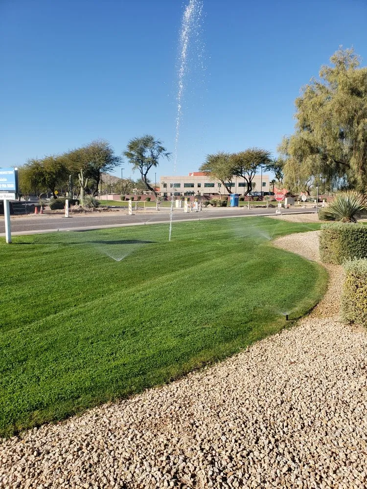 Trusted lawn care service in El Mirage, AZ by Carlos and Son Irrigation and Sprinkler Repair