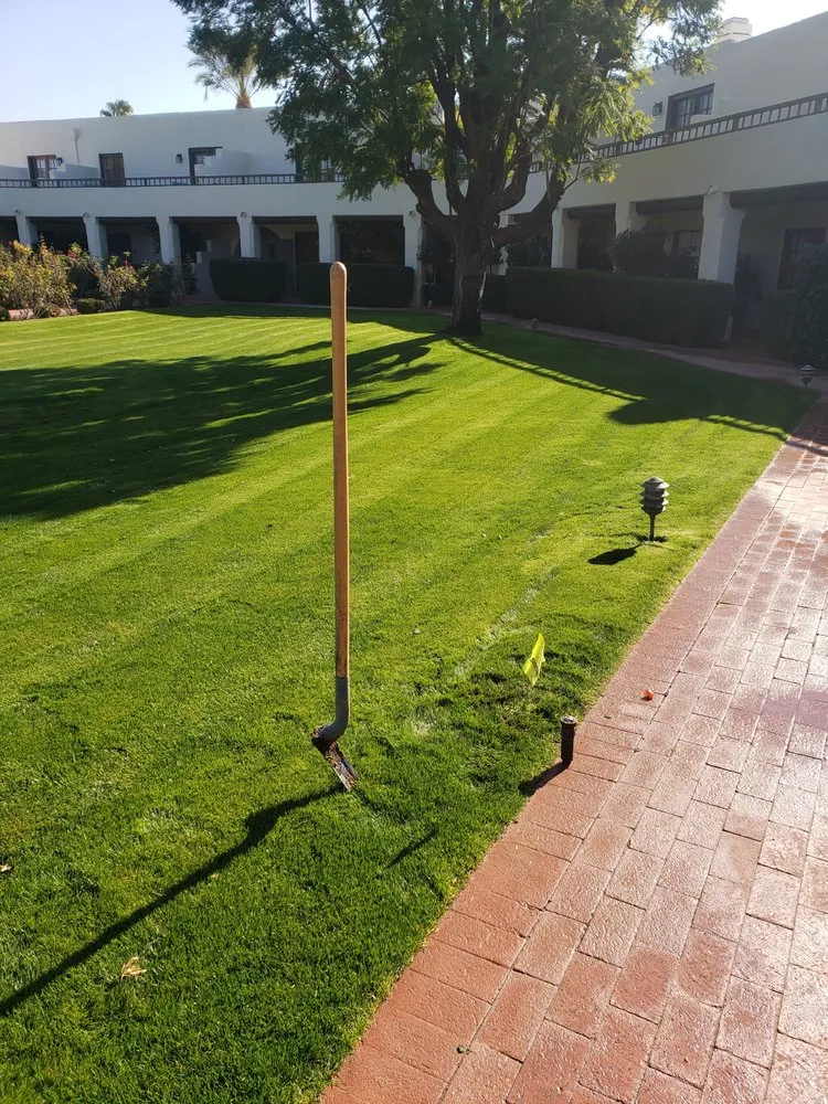 Local landscape installation in El Mirage, AZ by Carlos and Son Irrigation and Sprinkler Repair