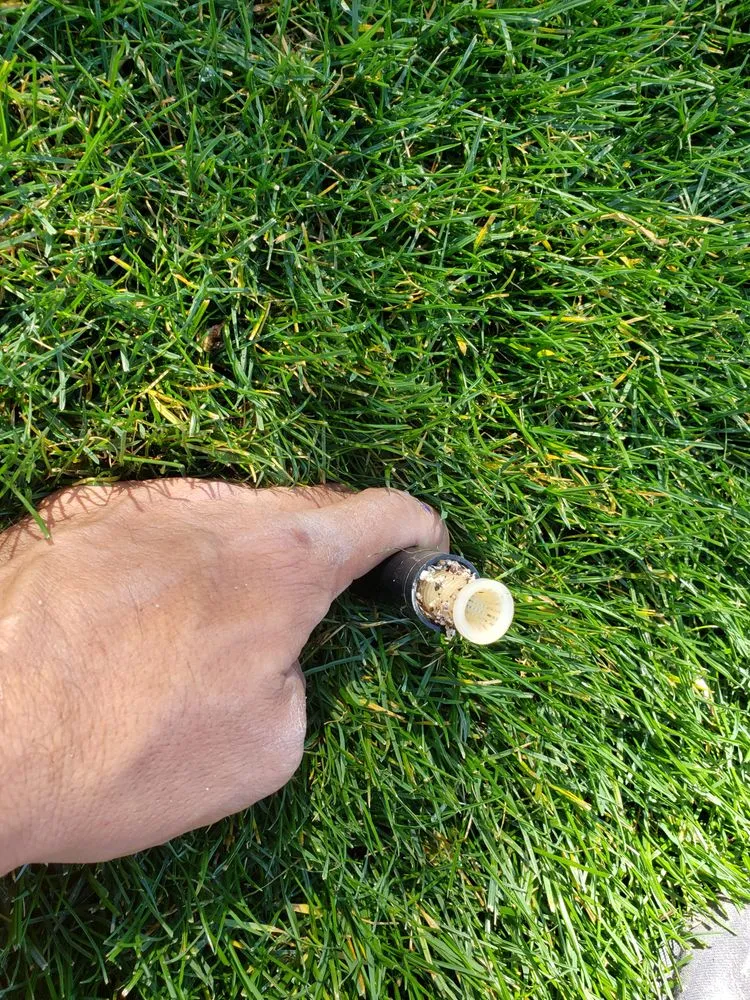 Reliable outdoor landscaping in El Mirage, AZ by Carlos and Son Irrigation and Sprinkler Repair