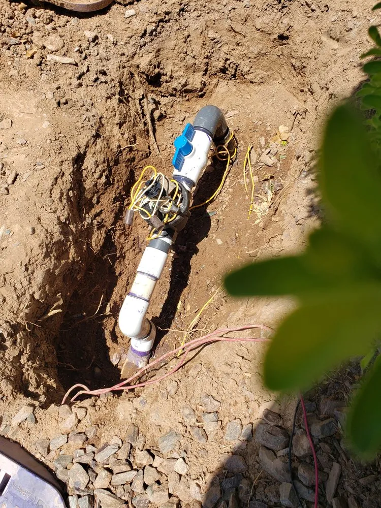 Affordable landscaping services in El Mirage, AZ - Carlos and Son Irrigation and Sprinkler Repair