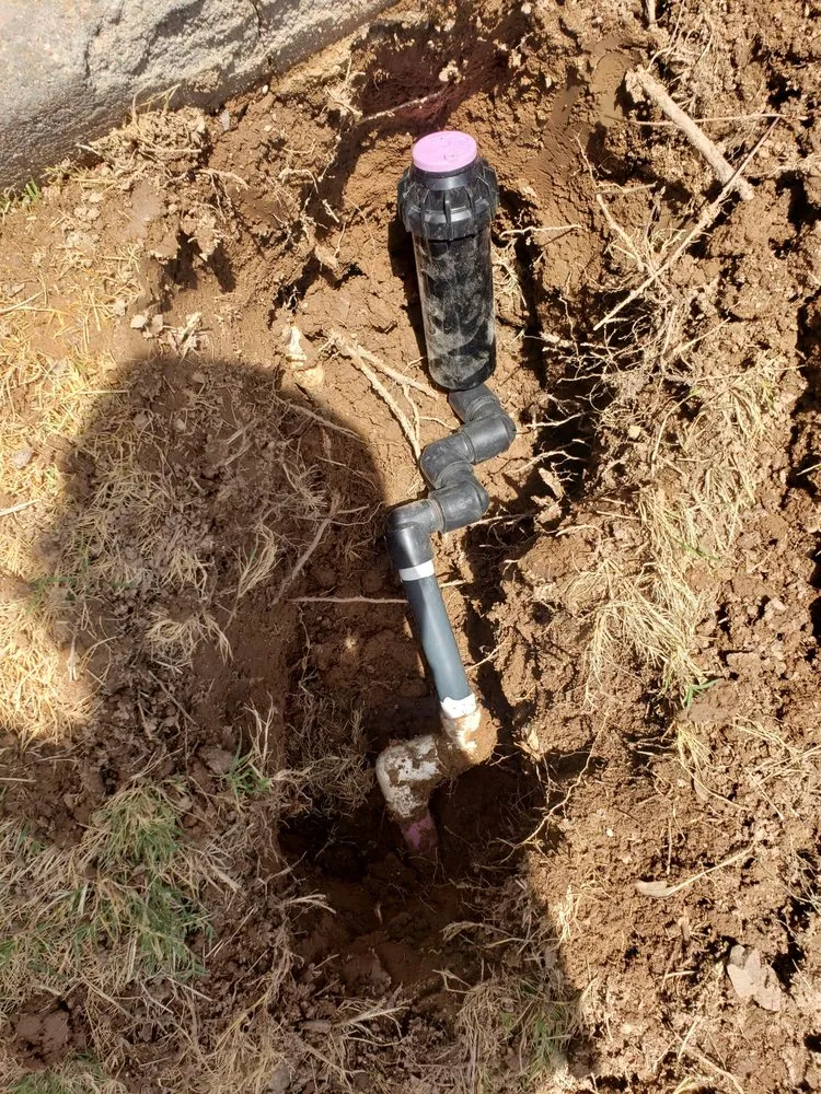 Top-rated outdoor landscaping in El Mirage, AZ - Carlos and Son Irrigation and Sprinkler Repair