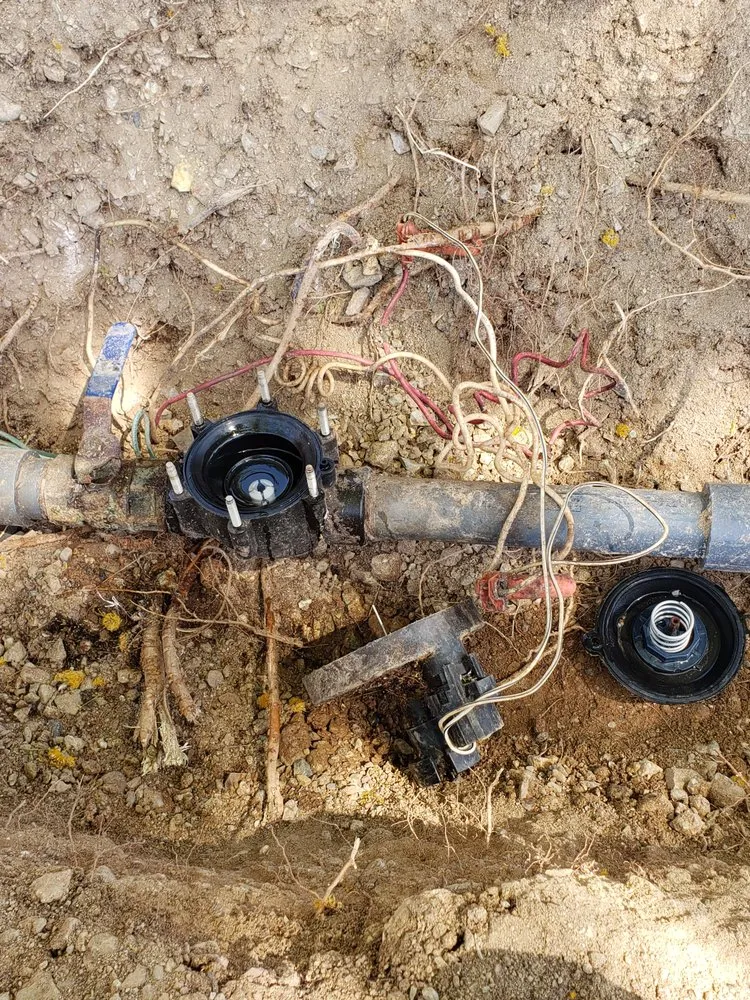 Expert yard maintenance experts serving El Mirage, AZ - Carlos and Son Irrigation and Sprinkler Repair