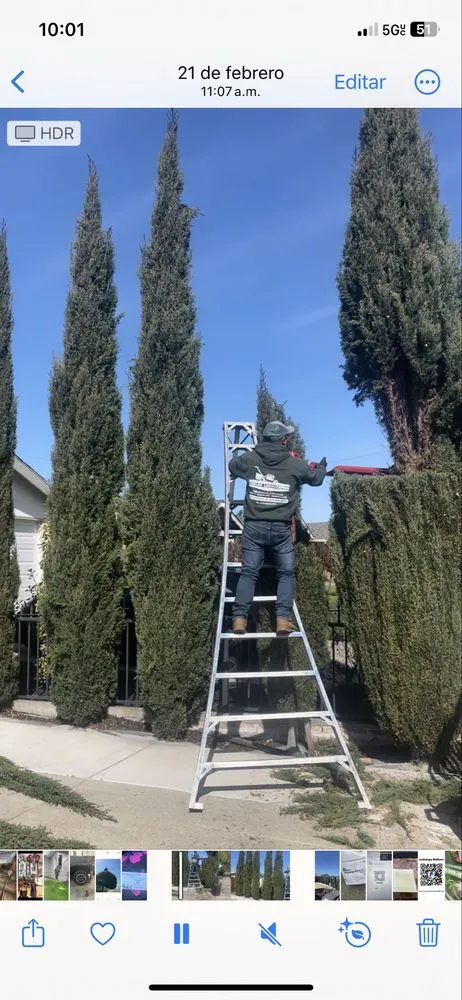 Custom landscape design with custom design in Oakland, CA by Carlos Balbuena Landscaping