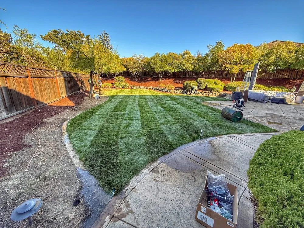 Reliable outdoor landscaping for homes in Oakland, CA by Carlos Balbuena Landscaping