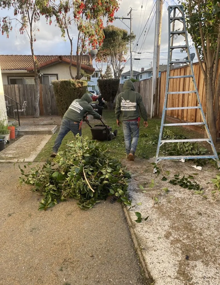 Affordable landscaping services for outdoor upgrades in Oakland, CA by Carlos Balbuena Landscaping