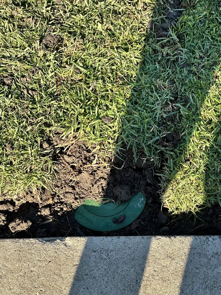 Local yard maintenance in Oakland, CA by Carlos Balbuena Landscaping