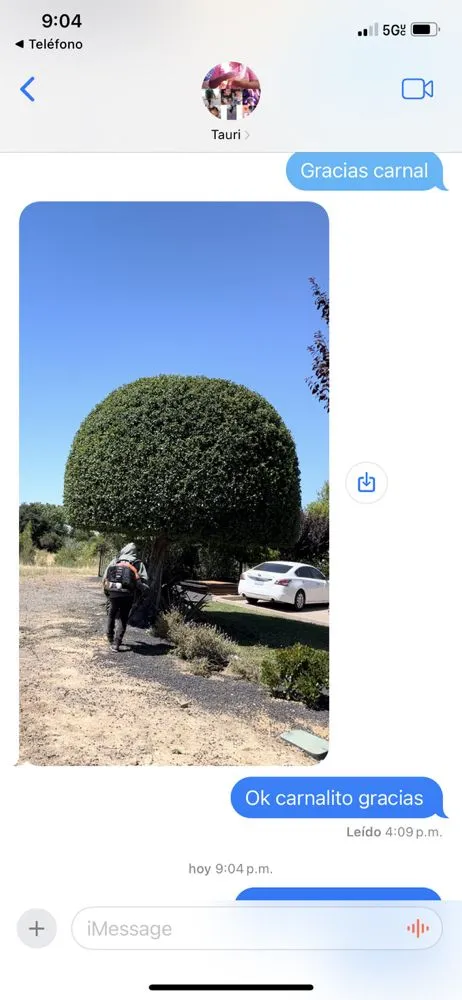 Expert residential landscaping with custom design across Oakland, CA - Carlos Balbuena Landscaping