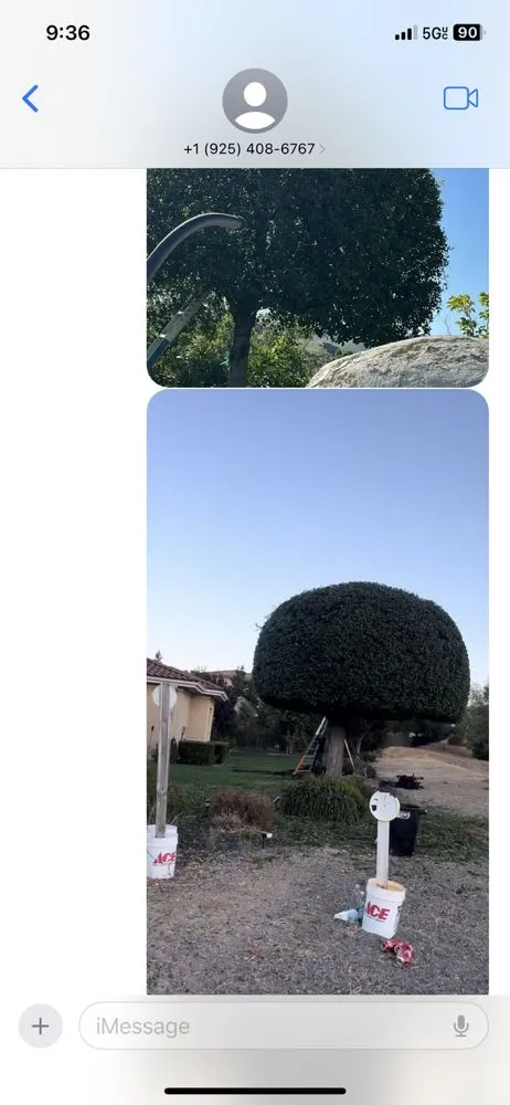 Custom landscaping services in Oakland, CA - Carlos Balbuena Landscaping