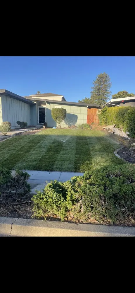 Local landscaping services in Oakland, CA by Carlos Balbuena Landscaping