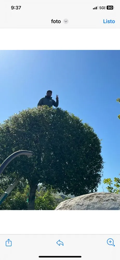 Top-rated landscape design for homes across Oakland, CA - Carlos Balbuena Landscaping