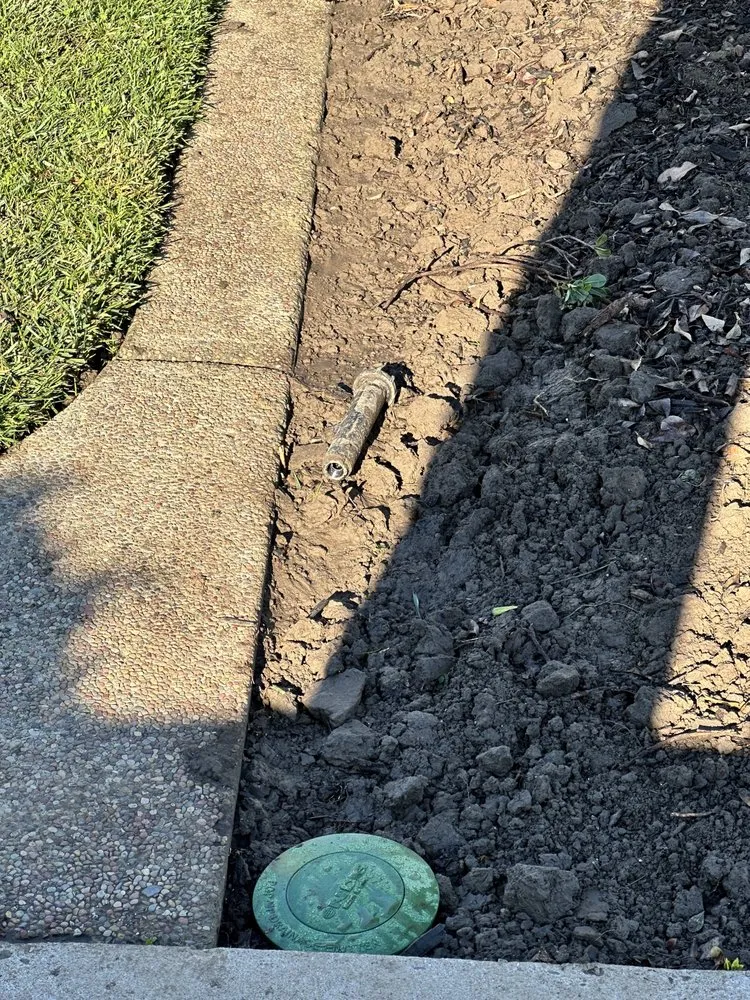 Trusted yard cleanup service for year-round maintenance in Oakland, CA by Carlos Balbuena Landscaping