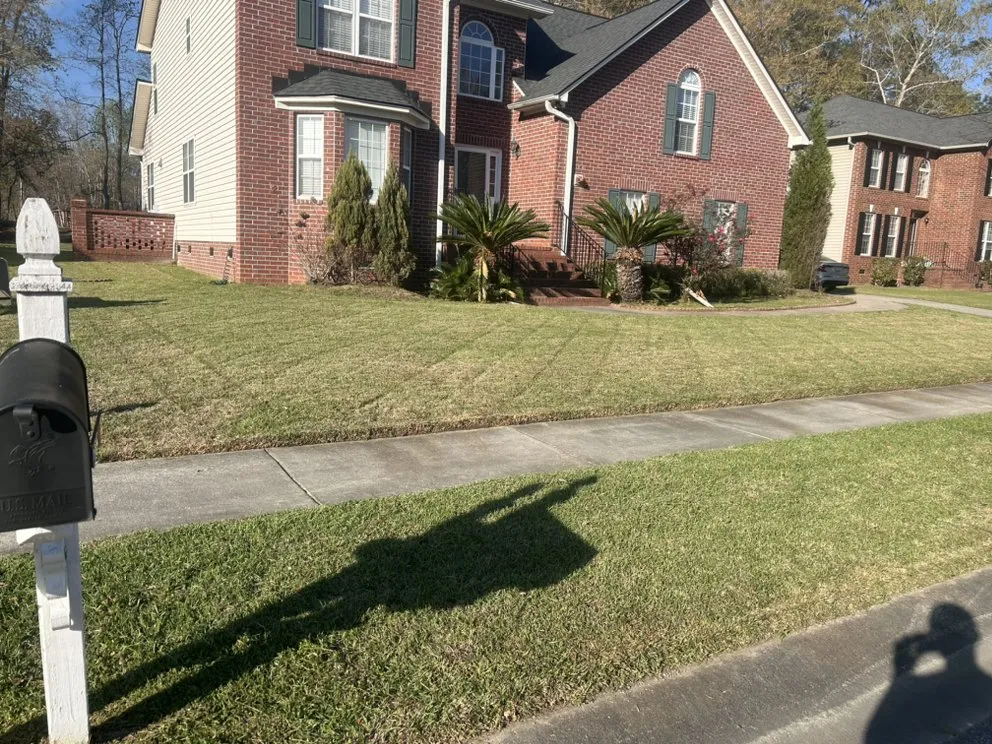 Professional outdoor landscaping experts serving Charleston, SC - Carlos Carranza Landscaping Services