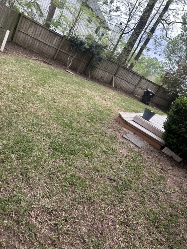 Professional lawn care service in Charleston, SC - Carlos Carranza Landscaping Services