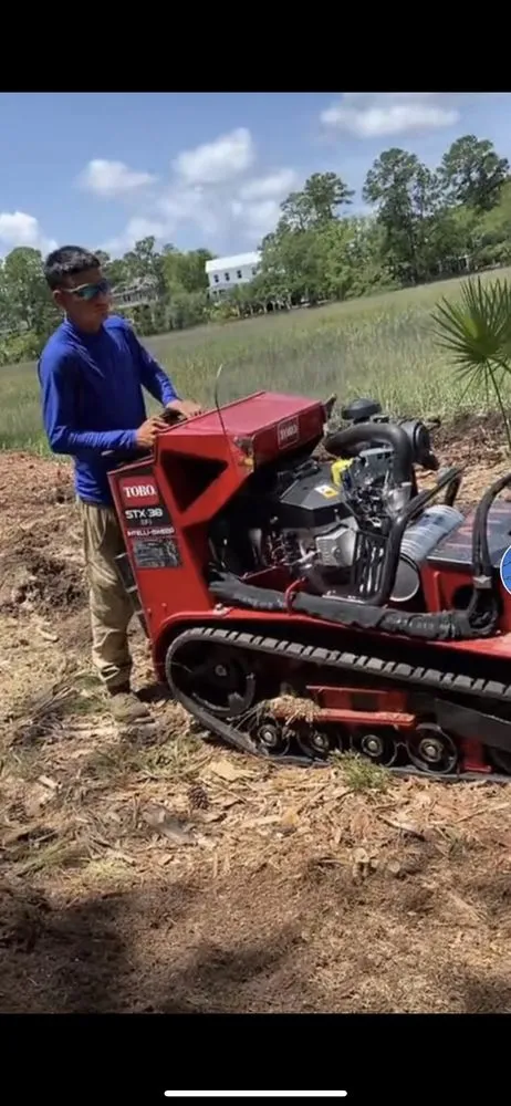 Expert lawn care service for outdoor upgrades across Charleston, SC - Carlos Carranza Landscaping Services