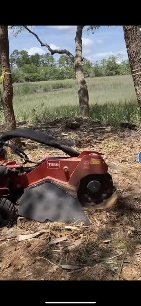 Local landscape installation for residential properties across Charleston, SC - Carlos Carranza Landscaping Services