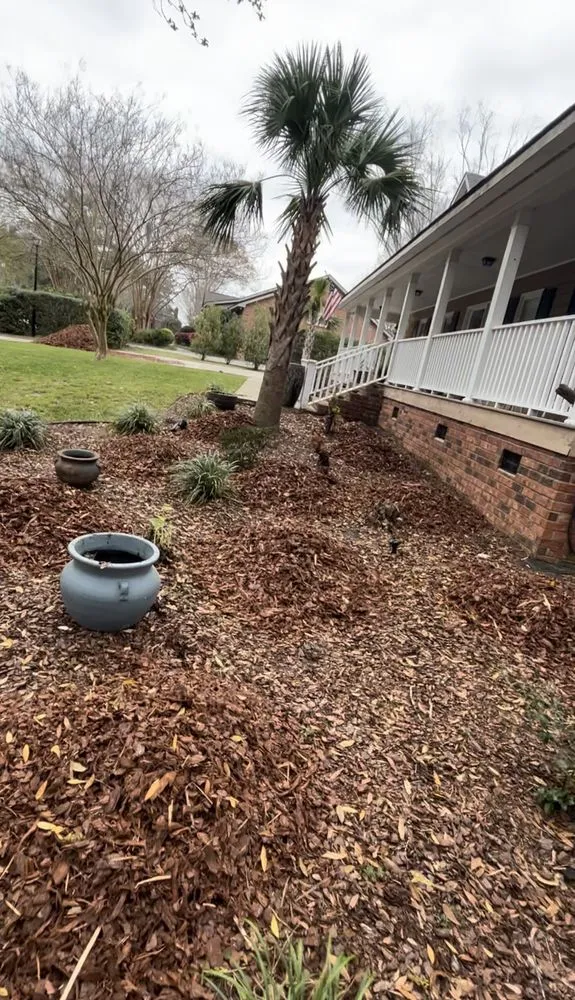 Reliable lawn mowing service in Charleston, SC by Carlos Carranza Landscaping Services