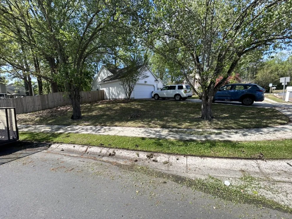 Affordable landscaping services in Charleston, SC by Carlos Carranza Landscaping Services