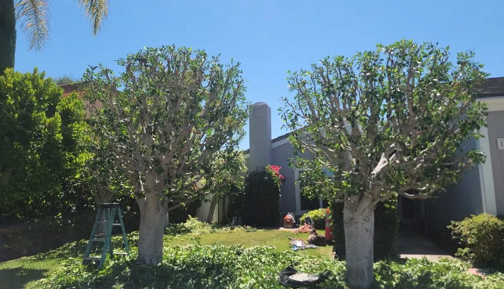 Affordable residential landscaping in Costa Mesa, CA - Carlos Ceron Gardening Services