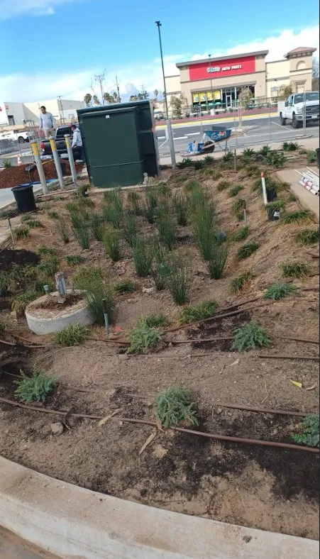 Trusted lawn mowing service for year-round maintenance in Costa Mesa, CA by Carlos Ceron Gardening Services