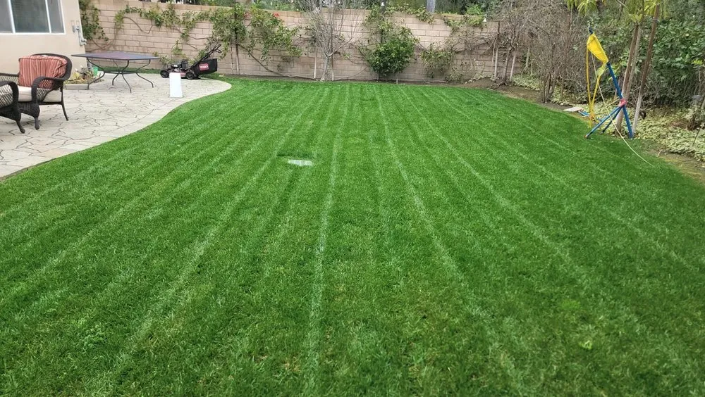 Expert yard maintenance in Costa Mesa, CA - Carlos Ceron Gardening Services