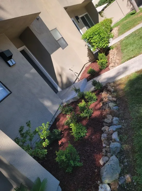 Expert yard maintenance experts serving Costa Mesa, CA - Carlos Ceron Gardening Services