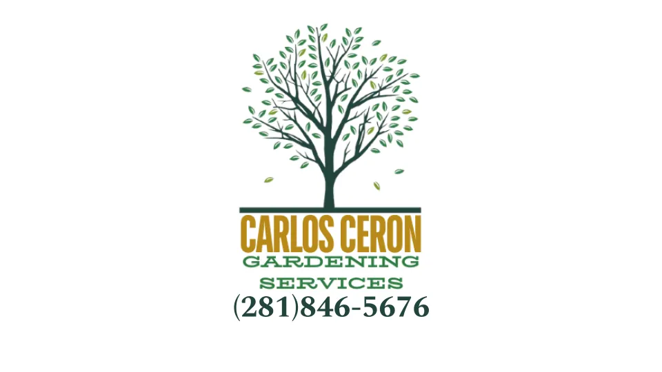 Affordable lawn mowing service for outdoor upgrades in Costa Mesa, CA by Carlos Ceron Gardening Services