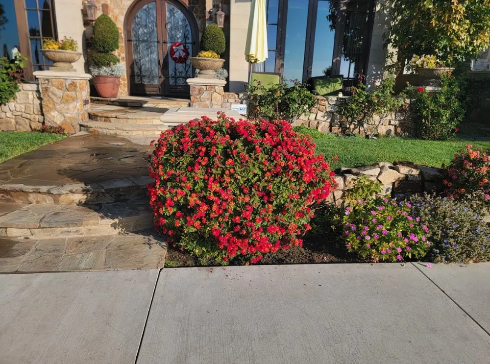 Top-rated landscape installation near you across Costa Mesa, CA - Carlos Ceron Gardening Services