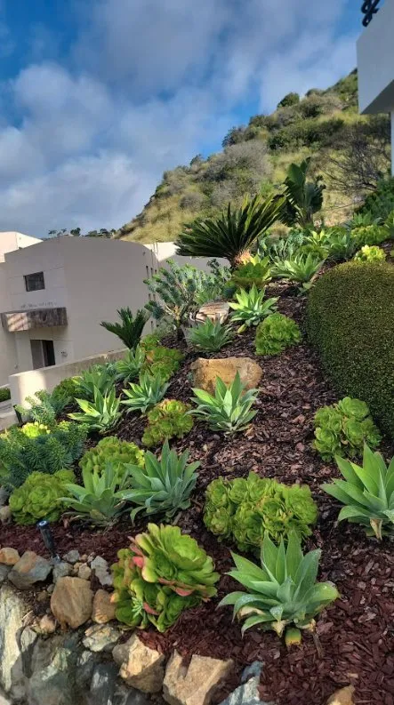 Top-rated landscape installation in Costa Mesa, CA - Carlos Ceron Gardening Services